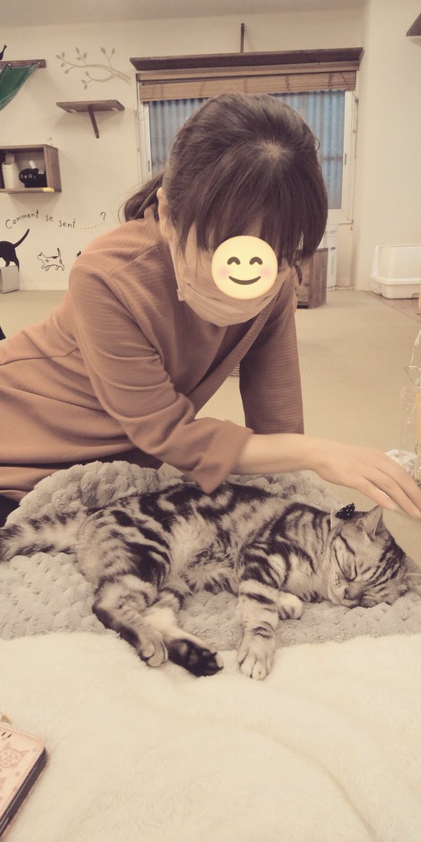 #猫カフェ 
梅田の猫カフェに行ってきた🥰
癒やされて心ポカポカ✨
可愛い過ぎる💘
又行こうねと友達と約束した☺️✨
(今日は🖼️じゃないよ😄)