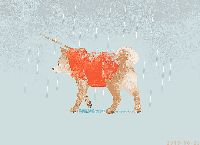 「animal focus signature」 illustration images(Latest)｜2pages