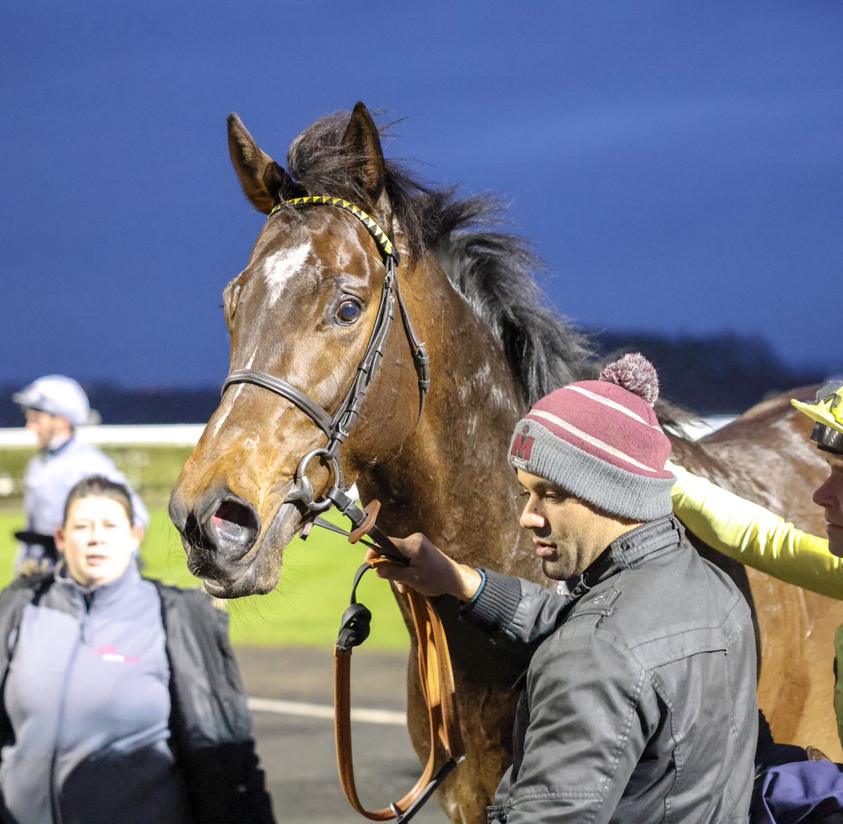 The exciting Inisherin ends Vandeek's unbeaten record with a clear-cut score in the Sandy Lane Stakes. Sheikh Mohammed Obaid's homebred is by the late, great Shamardal and out of Prix Jean Romanet winner Ajman Princess, a daughter of the mighty Reem Three.