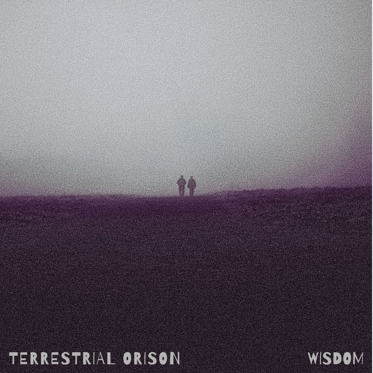 syncopatedbeet's tweet photo. "Wisdom" will be released June 1st. A dreary atmosphere but with a glimmer of hope. A sample-based collection that draws from ambient, experimental hip hop &amp; electronic psychedelia. https://t.co/WkdShf0zdy