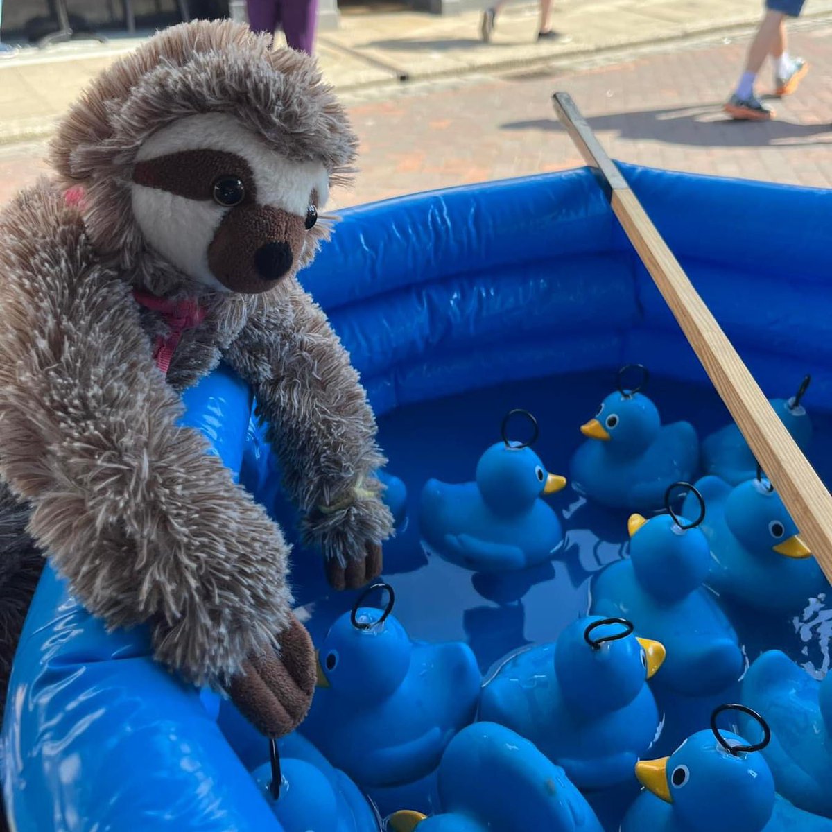 SfidaTheSloth's tweet photo. I had a quacking time last weekend hooking ducks.. 🦆🦥 

#girlguiding https://t.co/WmLTqapZX1