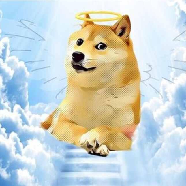dogeangelerc's tweet photo. 💫KABOSU has become an angel and, in doing so, will forever be a part of us.  🫶

$DOGE $ANGEL https://t.co/BiLZhQe1j5
