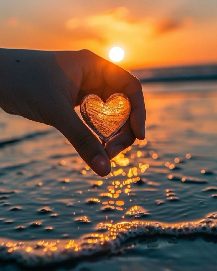 ❤️𝐀𝐬𝐬𝐚𝐥𝐚𝐦𝐮𝐚𝐥𝐚𝐢𝐤𝐮𝐦❤️ 

❤️ɢᴏᴏᴅ ᴇᴠᴇɴɪɴɢ 
ʜᴏᴡ ᴀʀᴇ ʏᴏᴜ ᴇᴠᴇʀʏᴏɴᴇ❤️

❤️𝐖𝐢𝐥𝐥 𝐲𝐨𝐮 𝐫𝐞𝐩𝐥𝐲 𝐦𝐲 𝐒𝐚𝐥𝐚𝐦❤️