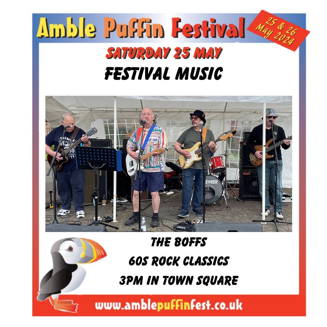 AmblePuffinFestival tweet media