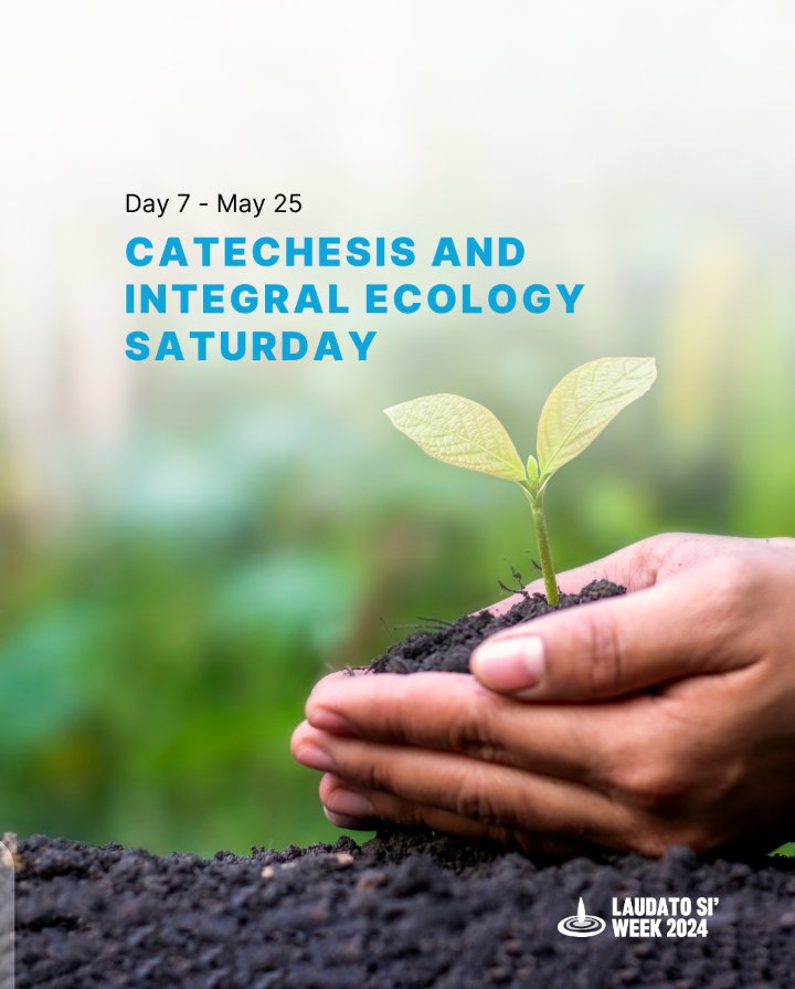 Day 7 (May 25): Catechesis and Integral Ecology Saturday
To talk about integral ecology is to remember that God has entrusted us with beautiful task of caring for his creation. On this seventh day of Laudato Si' Week, dare to promote integral ecology.
Integral Ecology Specialist