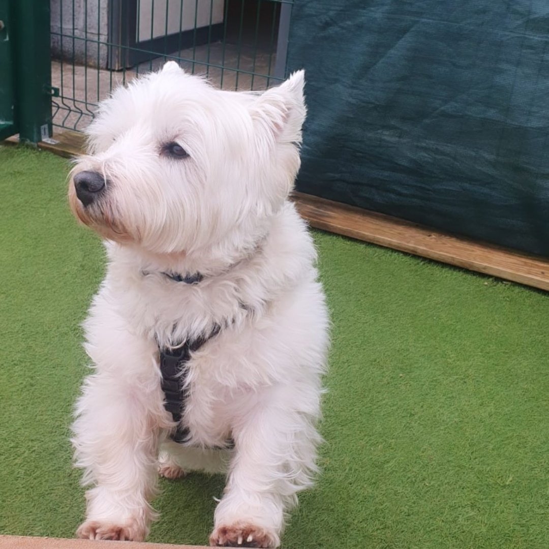 Barbara Morgan tweet media