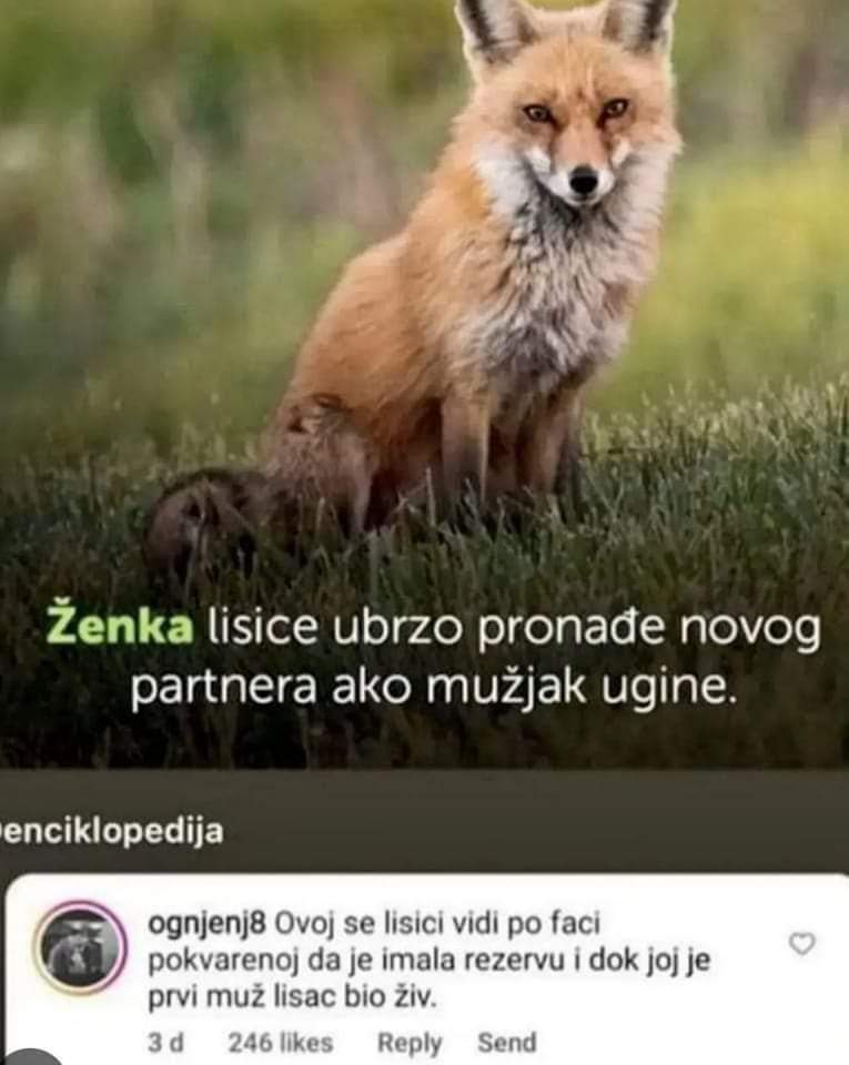 Plačem