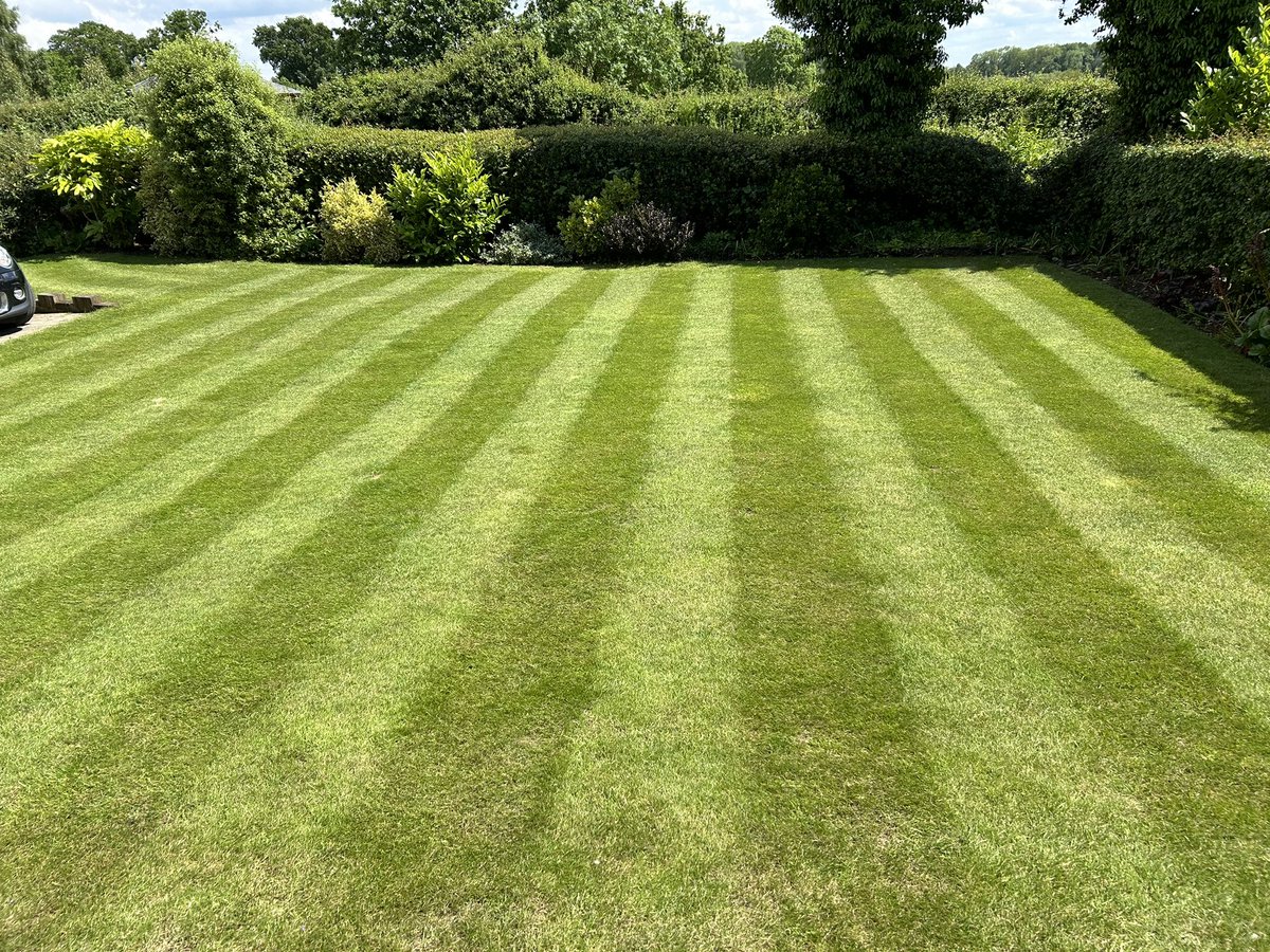 Strong stripes in the sunshine @AllettMowers Stirling & @CollierTurfCare marathon algae sport both doing their jobs @mowermanjimmy #patchoftheday