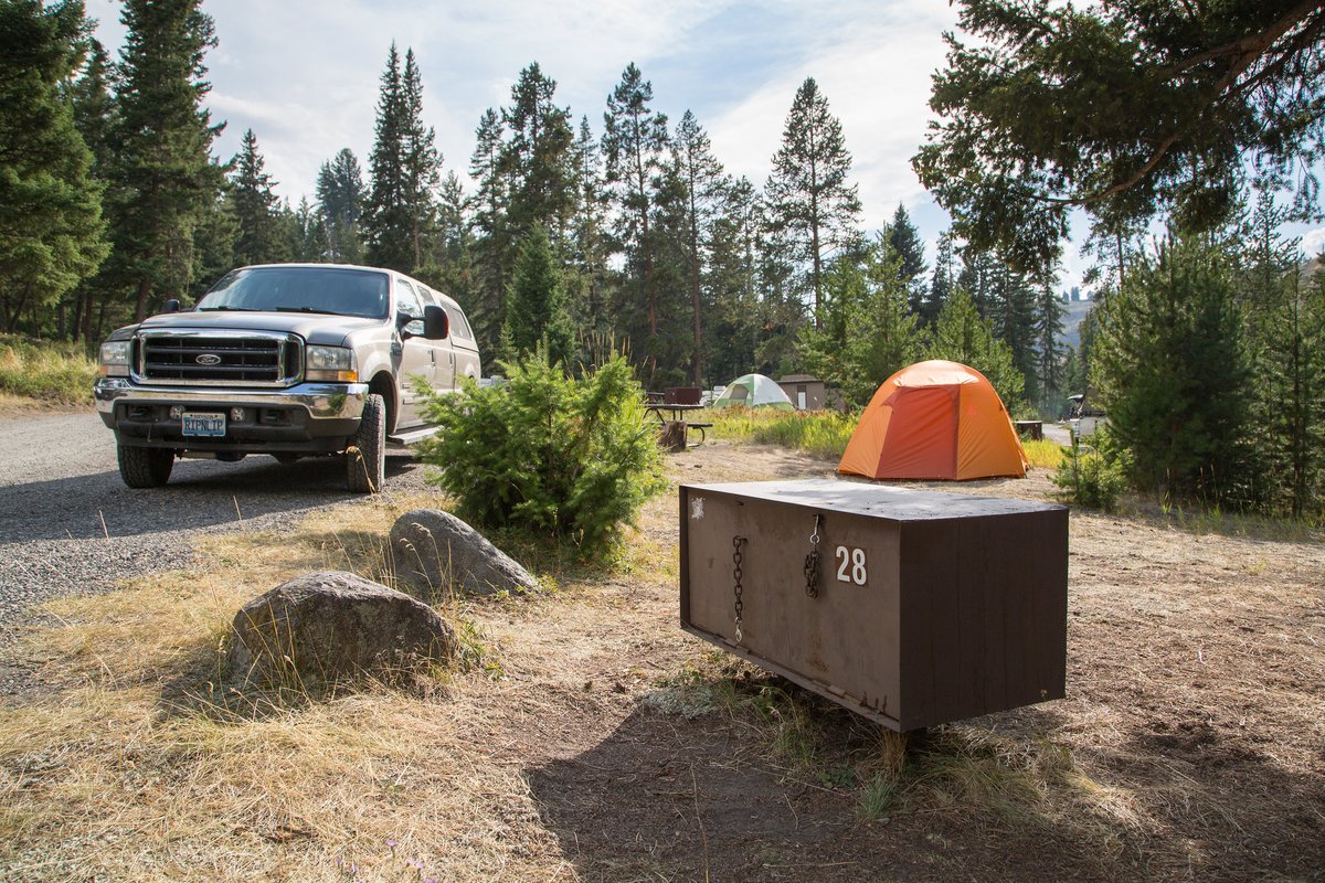 Help us protect bears and keep them wild! 🐻

One of the biggest ways you can help us do this is by throwing away garbage in any of our bear-proof trash cans and storing all food and smelly items so that bears (and other wildlife) cannot access them.