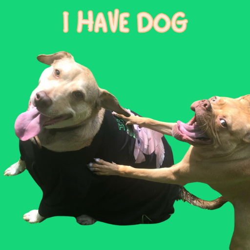 Look how happy $FOG is. BE LIKE FROG DOG APE HOUSE!