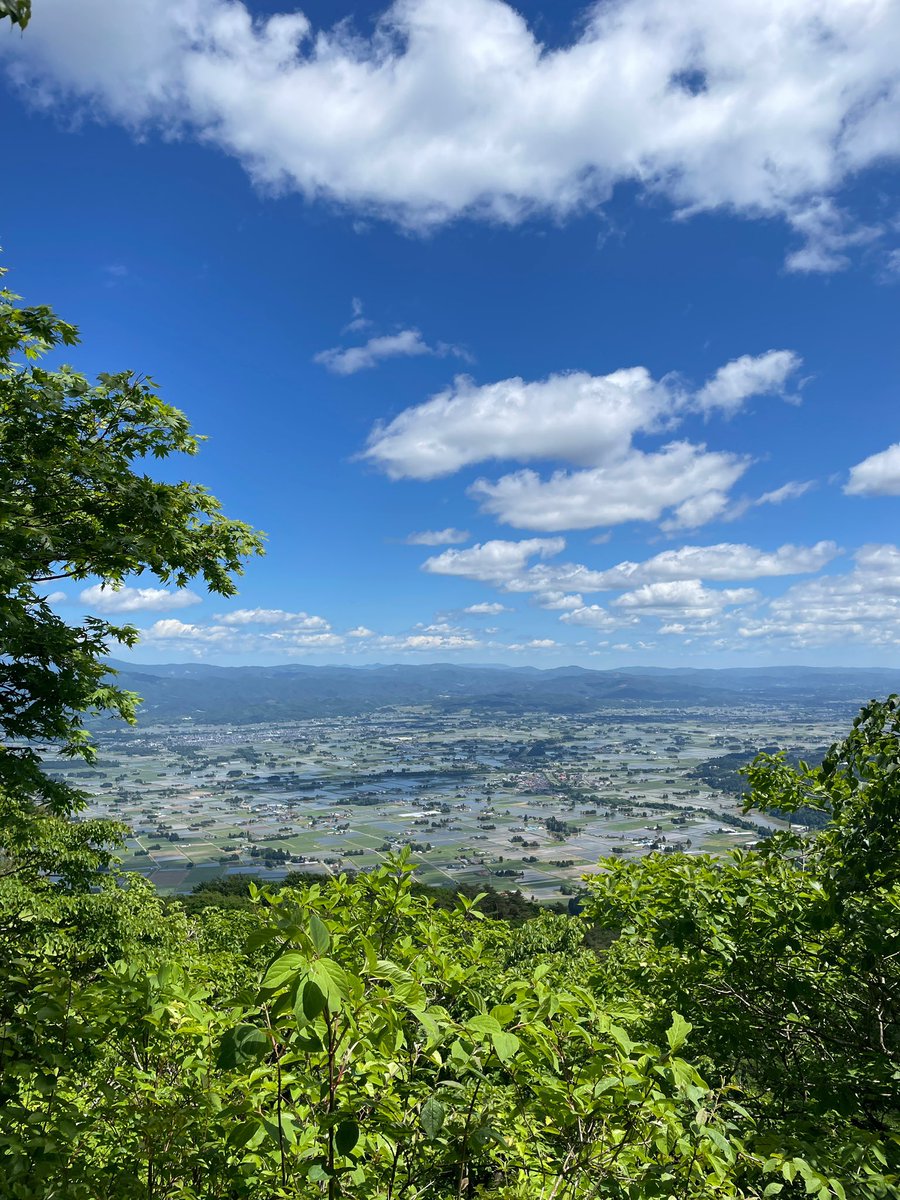 SPICEOGHA's tweet photo. 新緑美しすぎる😭😭😭

5/29、6/8ワンデーシェフです🌟
インスタにメニューなど載せております。
よろしくお願いします🚗 https://t.co/D9zGrLftEI