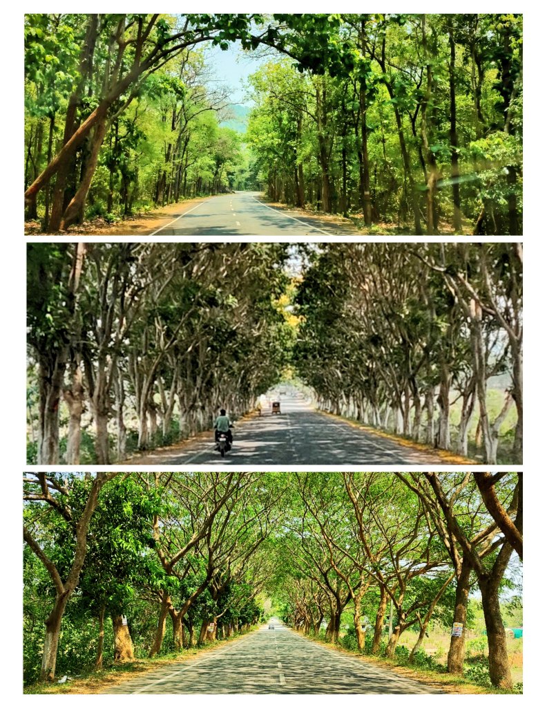 The famous green hole. Boudh-Nayagadh road, Odisha.