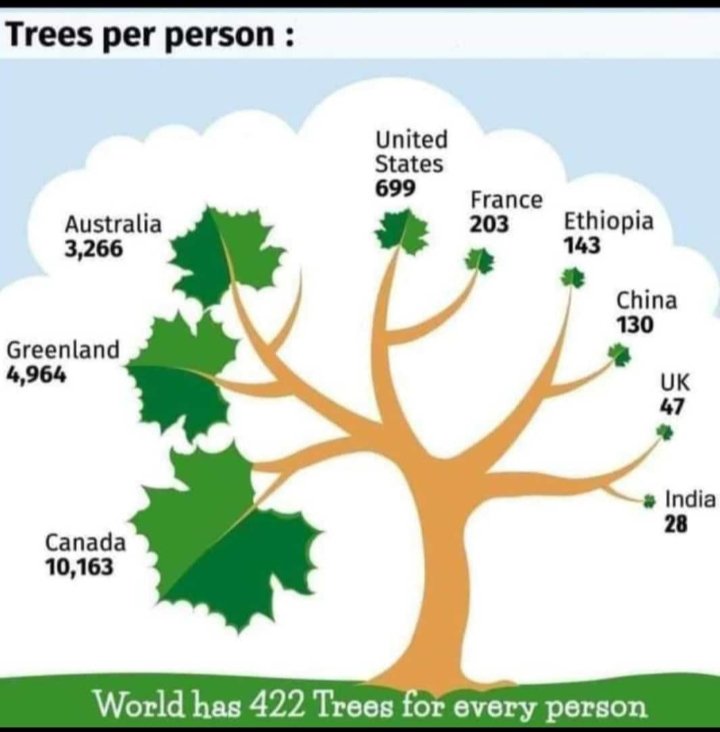 @Drkm34 ⚕️💙🩺👨‍⚕️👨‍⚕️ Trees Per Person' भारत की बहुत नाज़ुक हैं 😟😟 “एक पेड़ लगाने का कर्त्तव्य हमारा भीं”🌱🌳🌳🌳🌳🌳🌳🌳🌳 #trending #Treetime #ThinkDeeply मुहिम कों धरातल पर लाना पड़ेगा 🫶❣️❣️ #एक_पेड़_मैं_भी_लगाऊंगा 🪻🪻