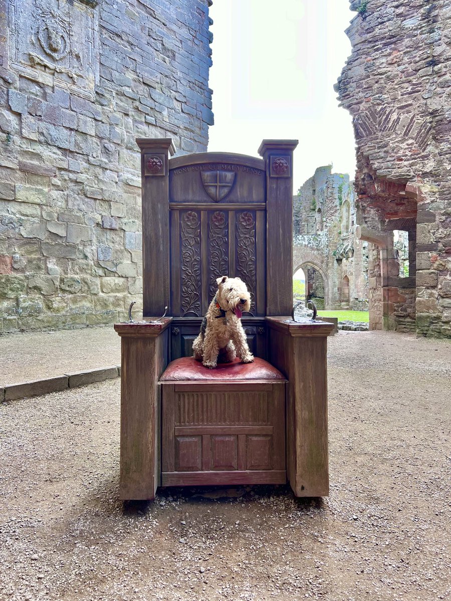 Bertie Lakeland tweet media