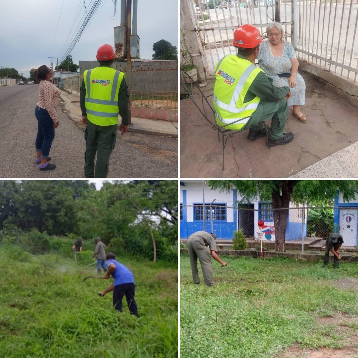 GJ. Domingo Hernández Lárez tweet media