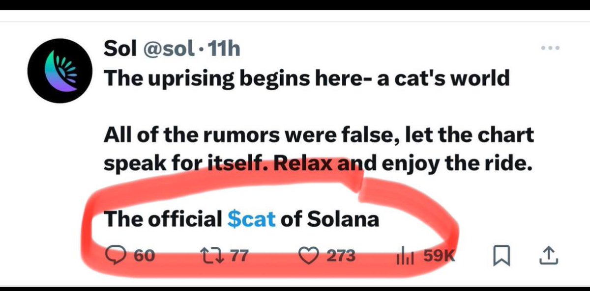 José tweet media