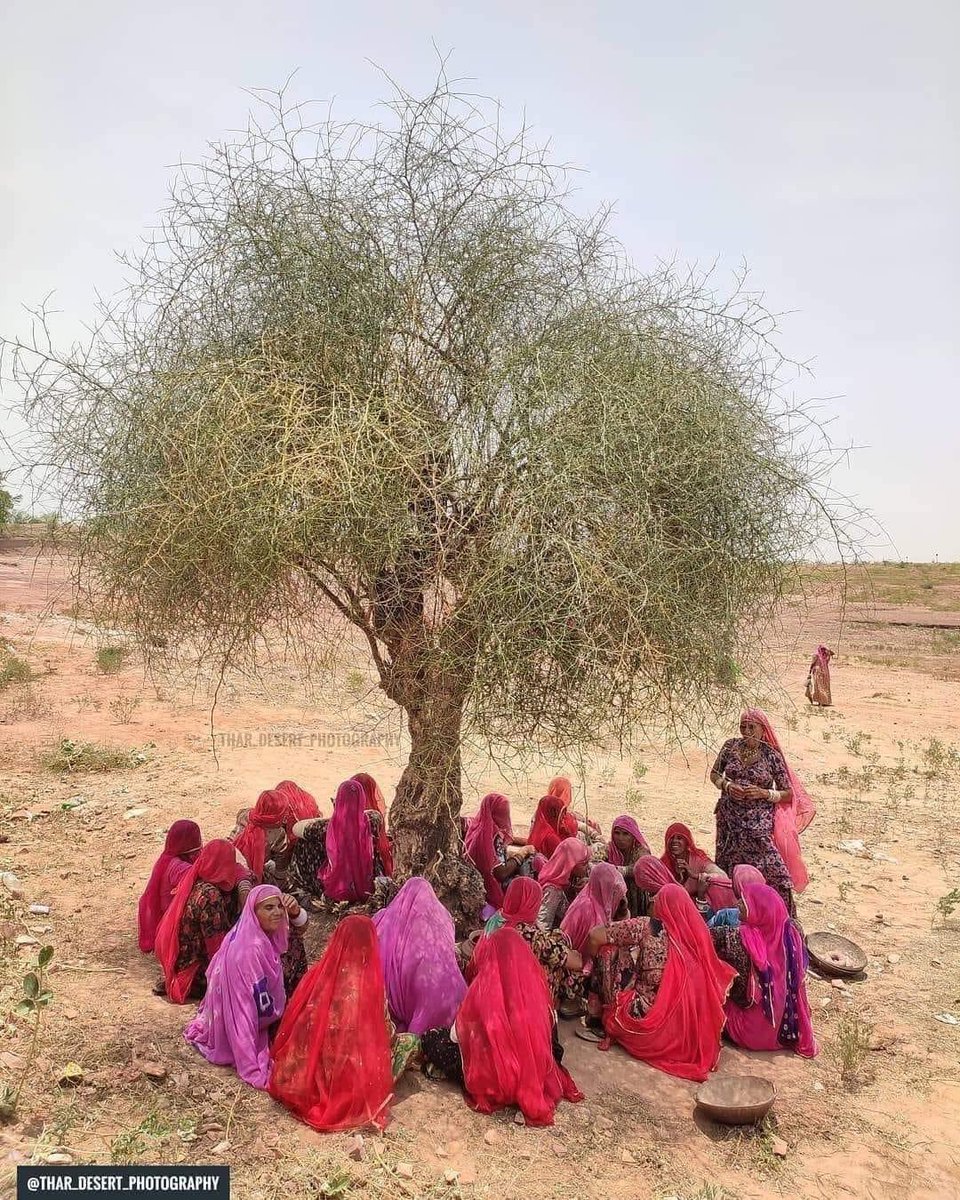 🌳🌳❣️
#एक_पेड़_मैं_भी_लगाऊंगा  #एक_पेड़_मैं_भी_लगाऊंगा
#एक_पेड़_मैं_भी_लगाऊंगा