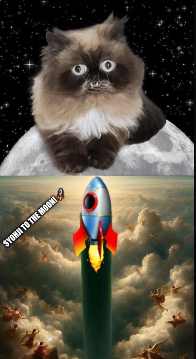 YOHJICTO's tweet photo. $YOHJI  -  The Floofening  -  5/25/24

#Solanamemecioin #memecoinwave $MICHI $CAT $DOG https://t.co/HKRCOzTGZw