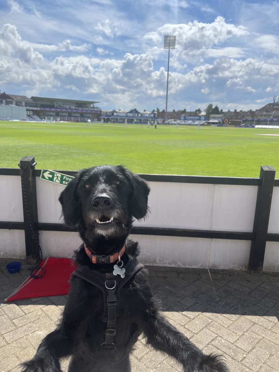 Ralph back at the County Ground for <a href="/NorthantsCCC/">Northamptonshire Steelbacks</a> v <a href="/YorkshireCCC/">Yorkshire CCC</a>. Divided loyalties this time #steelbacks #tykes