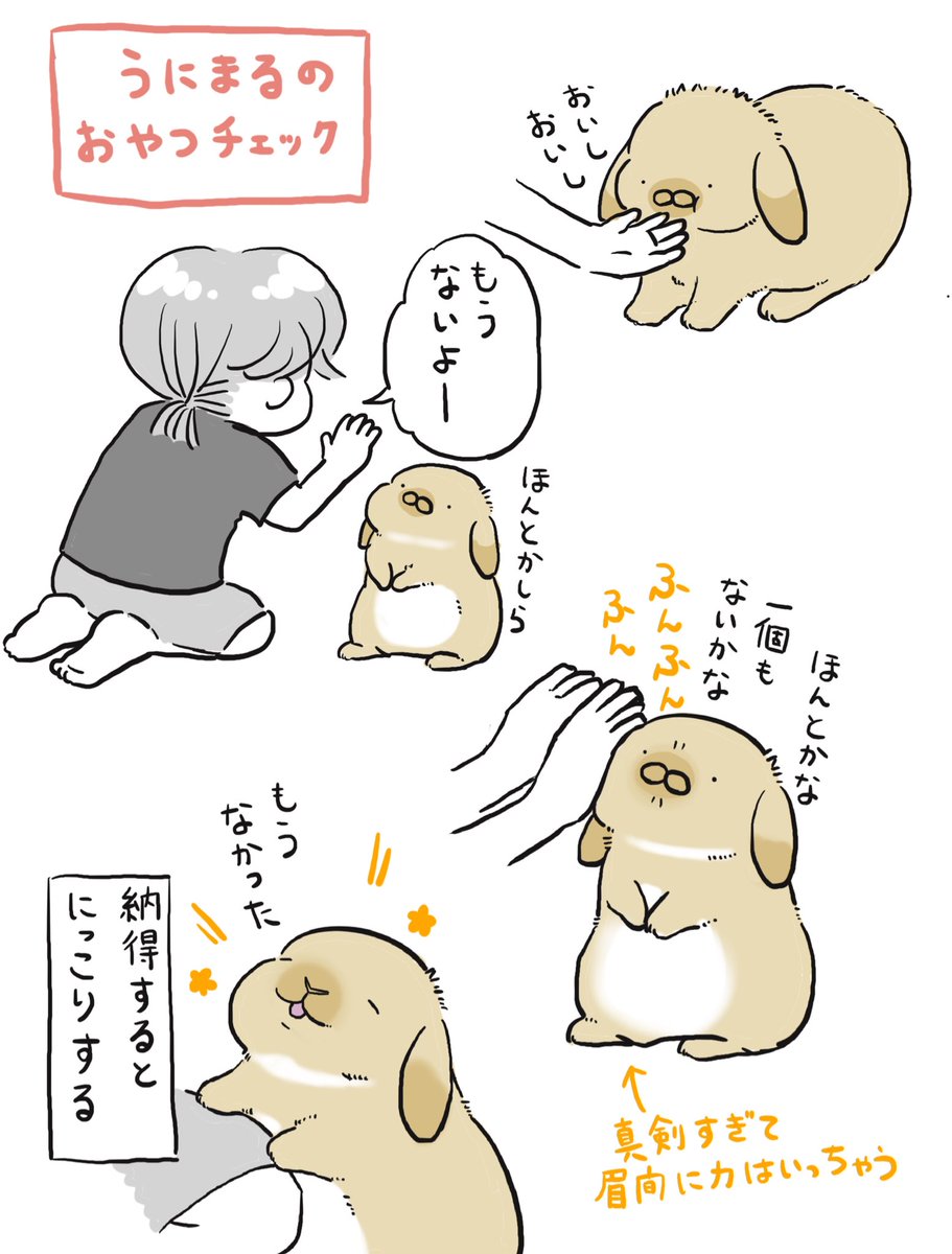 niihao_'s tweet photo. うにまるさんは二重チェックちゃんとやるタイプ https://t.co/Pg9ELIkSgC