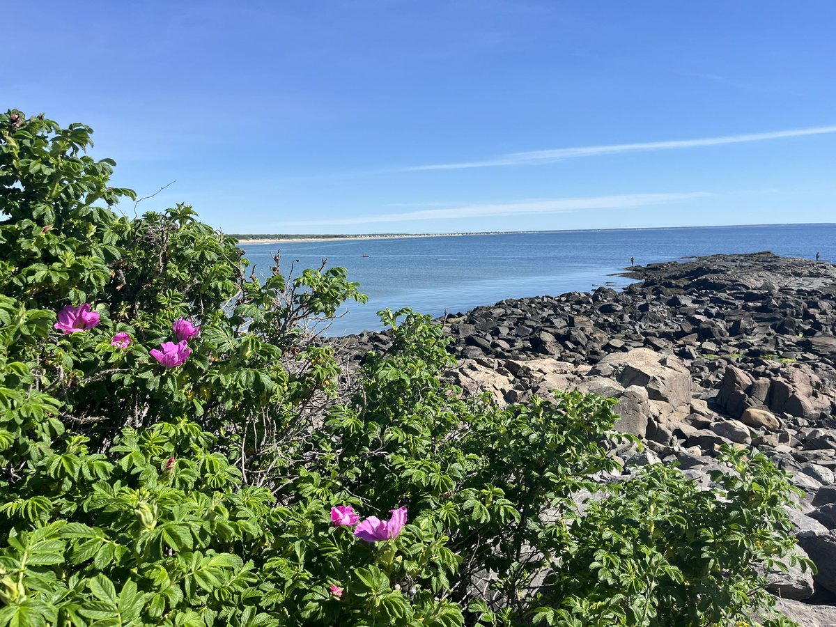 DavidJHuber's tweet photo. One of my top 5 places in the entire 🌎 #MarginalWay #Maine https://t.co/6arc1ZDfGU