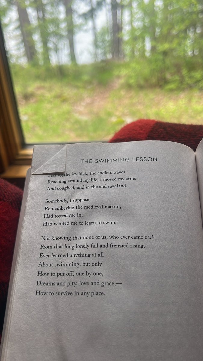 bloodsigns's tweet photo. And this is why I love Mary Oliver.  If you think she is just writing about grasshoppers and berries and geese …you are missing the why of her focused lens of attention on the natural world … Mary Oliver • Devotions https://t.co/1kVkfNUQBh
