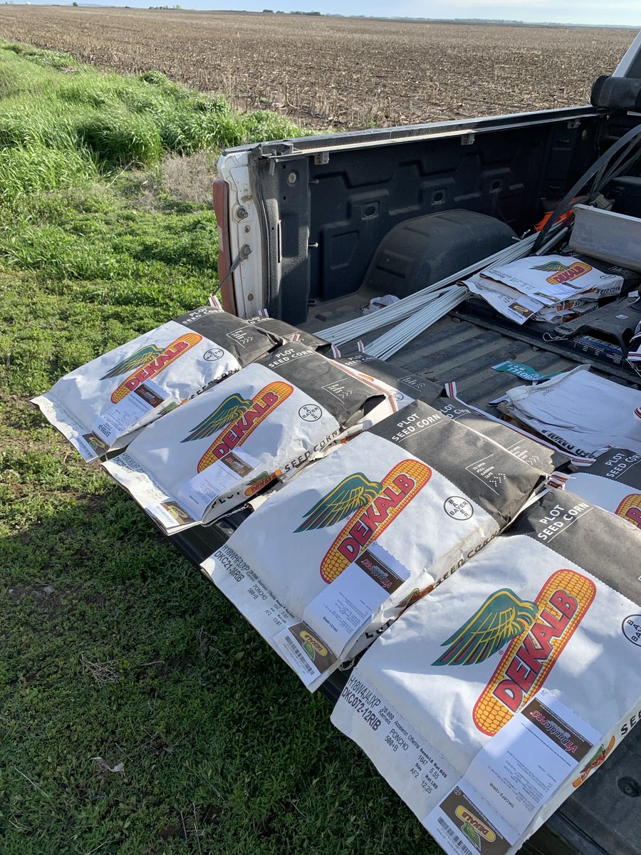 Cornacopia at Delisle today Good start up moisture. Gunning for quality and quantity!
⁦<a href="/Bayer4CropsCA/">Crop Science Canada</a>⁩ #cowchow