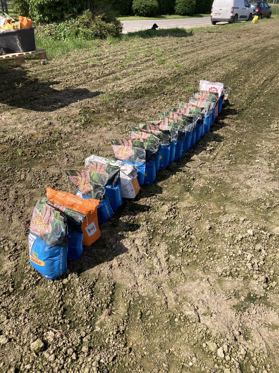 Dernier essai #maïs 🌽 <a href="/DEKALB_FR/">DEKALB-FieldView by Bayer France</a> semé aujourd’hui dans le 59. Plus d’un mois d’écart entre les 1ers et derniers semis.. Enfin ! ✅💪 <a href="/Arvalisofficiel/">ARVALIS</a> #ceuxquifontlesessais