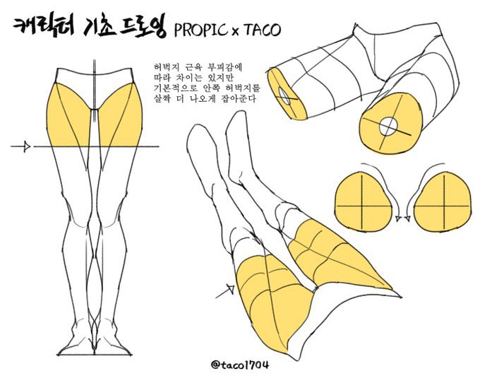 Our feature tutorial/artists today is this RIDICULOUSLY USEFUL page on THIGHS by the talented @taco1704! These clear illustrations show the overall muscle forms BRILLIANTLY! #anime #manga #gamedev #illustration #drawing #ART #DRAW #characterdesign #comicart