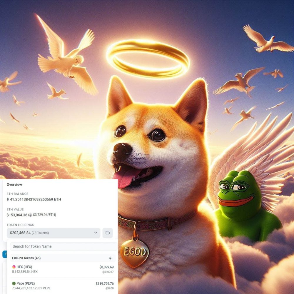EGOD_ERC20's tweet photo. Pepe Whale Onboarding

$EGOD https://t.co/84JaoTJ40G