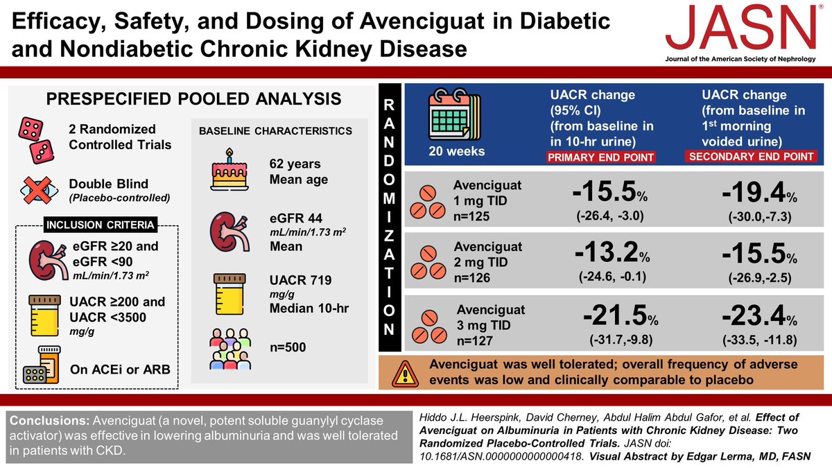 Effect of Avenciguat on Albuminuria in Patients with CKD: Two Randomized Placebo-Controlled Trials from @JASN_News @HeerspinkHiddo @sydney_tang @MasaomiNangaku #ERA24 🇸🇪 #Nephpearls 👉🏼 journals.lww.com/jasn/abstract/…