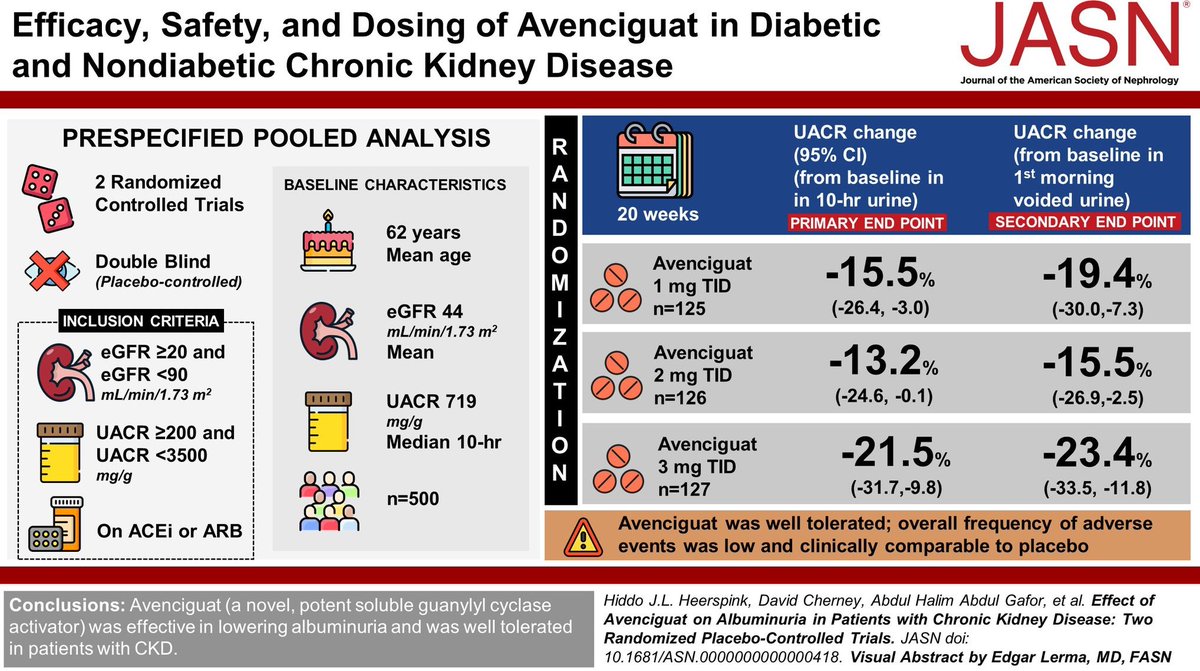 Simultaneous publication in @JASN_News during Efficacy and safety of avenciguat in diabetic and non-diabetic kidney disease: Pooled analysis from two Phase II randomized controlled clinical trials ✍️By @HeerspinkHiddo 🎨Simultaneous visual abstract publication (by