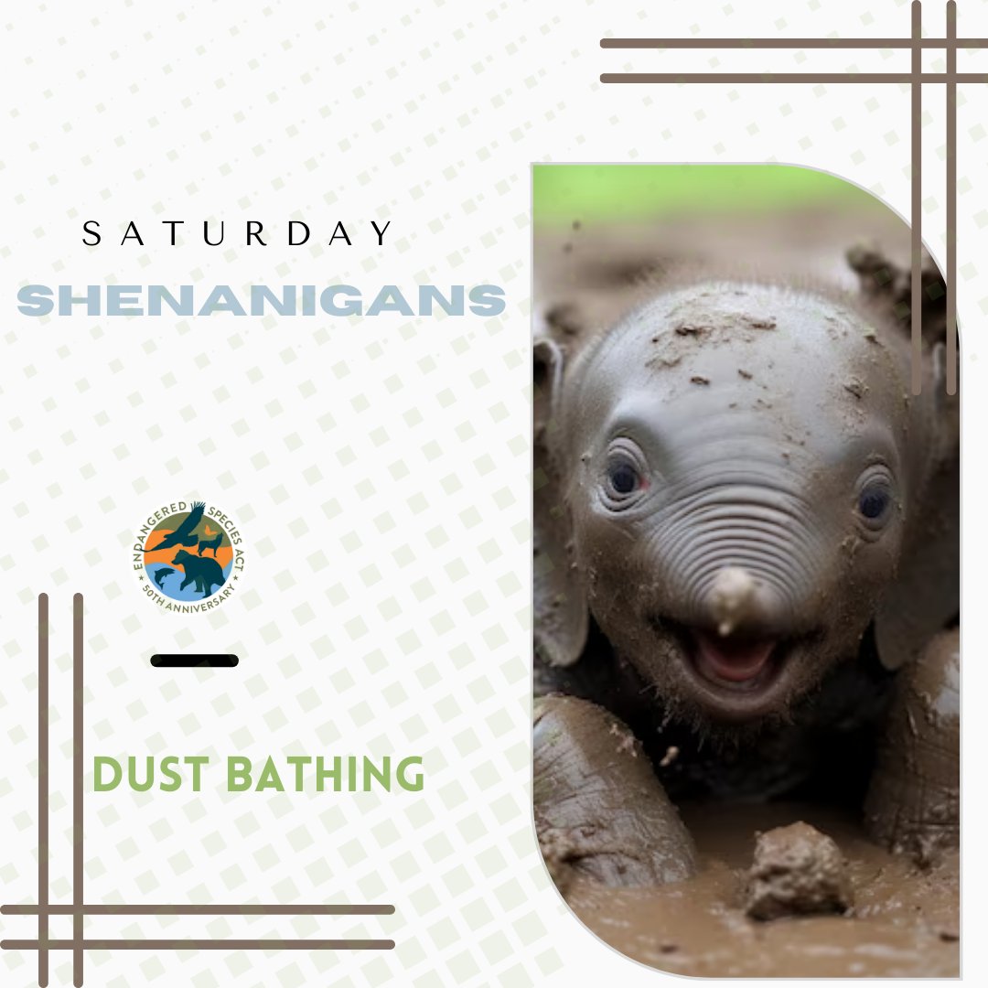 ESA at 50 tweet media