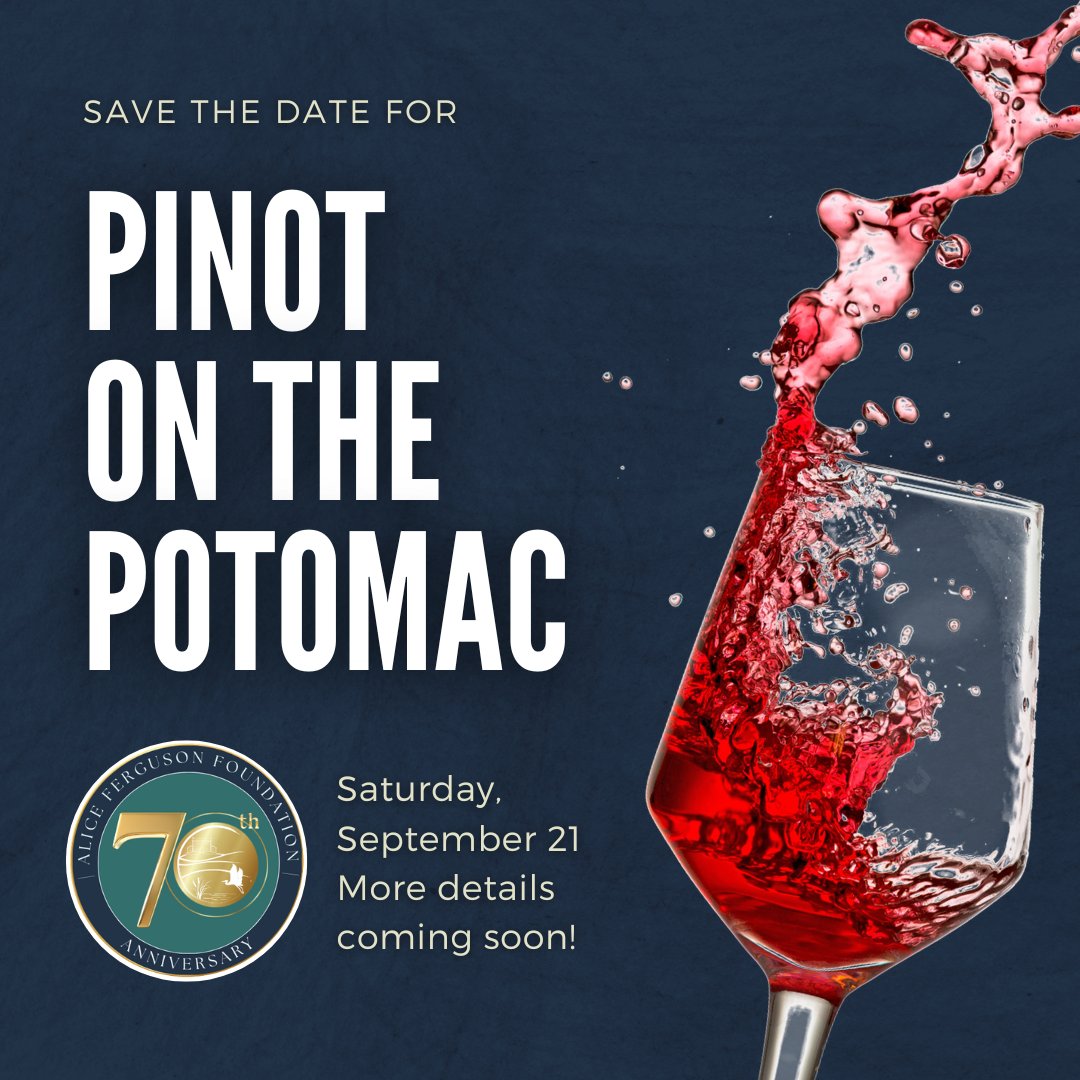 Sip, sip, hooray! It's National Wine Day! There's no better way to celebrate than with a save the date announcement for our annual Pinot on the Potomac event on Saturday, September 21. More details are coming soon!

#Pinot24 #wine #marylandwines #gala #fundraiser #savethedate