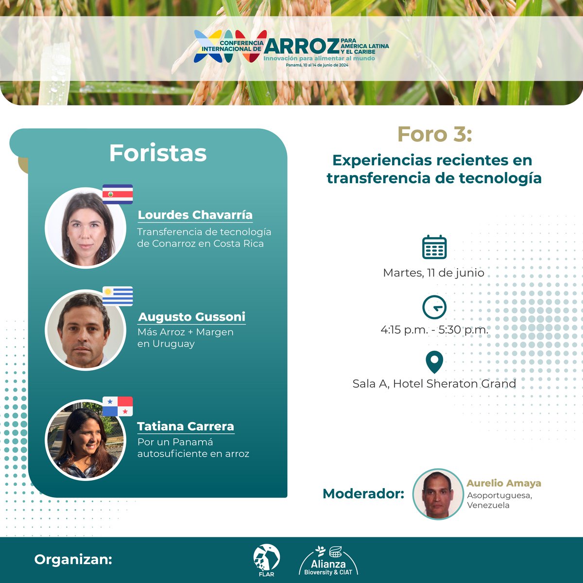 arrozFLAR's tweet image. #Foros | Únete al foro &quot;Experiencias recientes en transferencia de tecnología&quot; en la XIV Conferencia Internacional de Arroz. Descubre los proyectos implementados por @Conarroz1🇨🇷, @ACAoficial @INIA_UY @GArroceros 🇺🇾 y @conagrosemillas 🇵🇦. Programa: ow.ly/WaBp50ROFY8