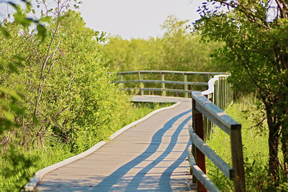 Ducks Unlimited CAN tweet media
