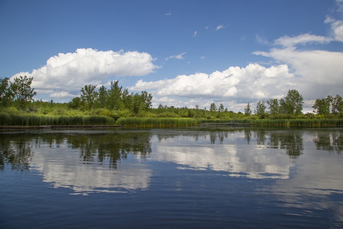 Ducks Unlimited CAN tweet media