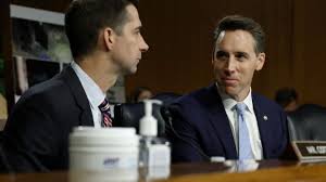 PaulRudnickNY's tweet photo. Trump's top VP choice is Tom Cotton. Or as Josh Hawley swoons, "Tom's already the Vice-President of me. When I gaze at him, I see solid American values, Christian supremacy and those big brown eyes" https://t.co/3LnIJCESYF