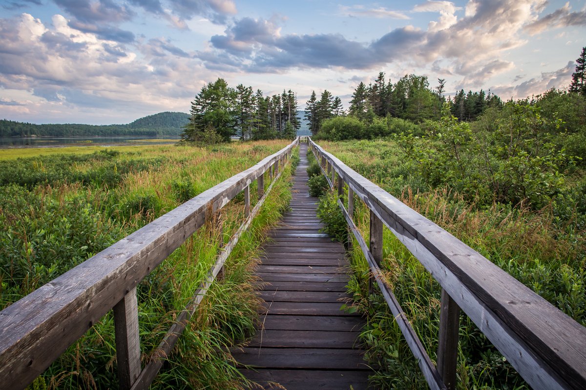 Looking for ways to enjoy the outdoors as the weather warms and flora blooms?  We invite you to visit a local wetland—they’re beautiful places to explore, relax and connect with the outdoors. 

Discover wetland destinations near you at: loom.ly/BEvBgWQ