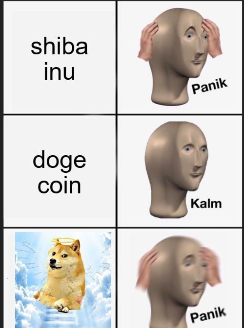 dogeangelerc's tweet photo. Now it's $ANGEL.  

$DOGE $ANGEL https://t.co/AlLQtjl5cg