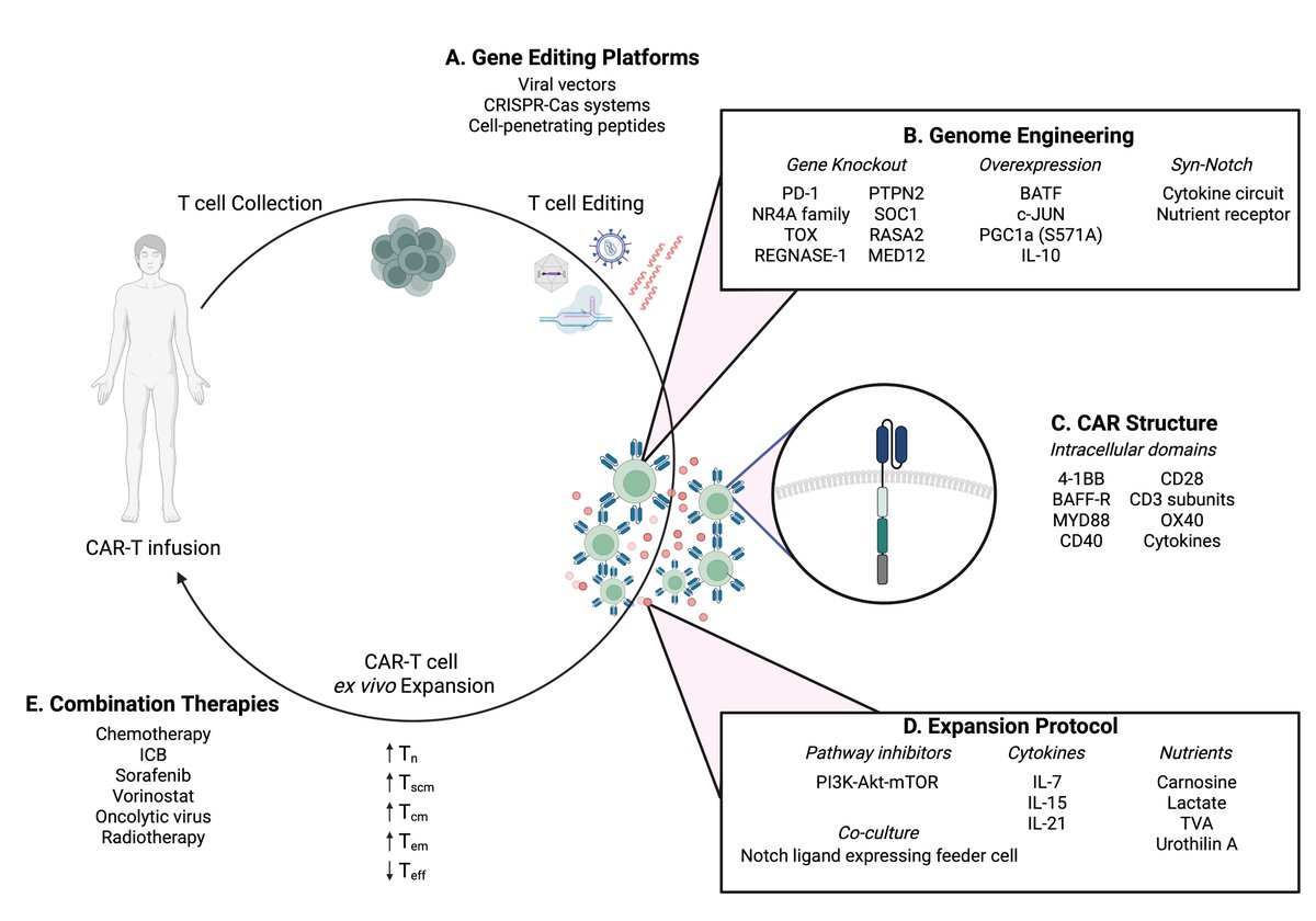 Rishab Ramapriyan (@rishabrama) on Twitter photo Excited to share our new review on altered cancer metabolism and implications for next-generation CAR T-cell therapies-- written with <a href="/VivaVykunta/">Vivasvan Vykunta</a> <a href="/GustVandeca/">Gust Vandecandelaere</a> <a href="/LGKRichardson/">Leland G. Richardson</a> <a href="/WTCNeuroscience/">William Curry</a>
<a href="/BryanDChoi/">Bryan D. Choi MD PhD</a> <a href="/MGHNeurosurg/">MGH Neurosurgery</a> Full Paper: authors.elsevier.com/a/1j8rTbEXZb8Dd Excited to share our new review on altered cancer metabolism and implications for next-generation CAR T-cell therapies-- written with <a href="/VivaVykunta/">Vivasvan Vykunta</a> <a href="/GustVandeca/">Gust Vandecandelaere</a> <a href="/LGKRichardson/">Leland G. Richardson</a> <a href="/WTCNeuroscience/">William Curry</a>
<a href="/BryanDChoi/">Bryan D. Choi MD PhD</a> <a href="/MGHNeurosurg/">MGH Neurosurgery</a> Full Paper: authors.elsevier.com/a/1j8rTbEXZb8Dd