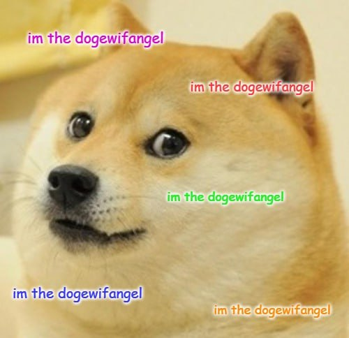 dogeangelerc's tweet photo. Im the DogeWifAngelRing $ANGEL $DOGE https://t.co/aV5ntYnO4S