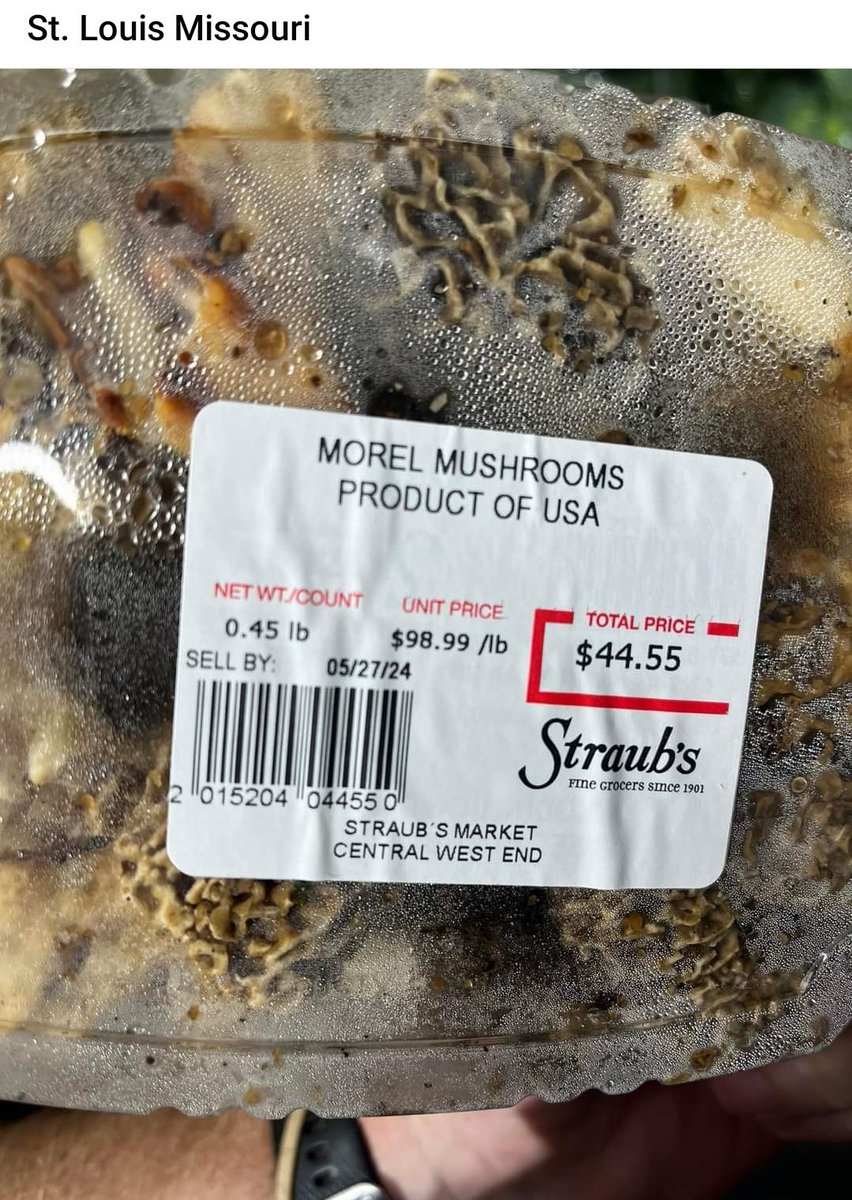 If you don't know
I hate bullies 
1 reason this coin was created 
well... In the foraging world. the big buyers are the bullies. With morel mushrooms retailing for 50 to 60  USD in some cases.
they have dumped the price they pay pickers. to 5.50 CAD /LB
Did someone say union 👊