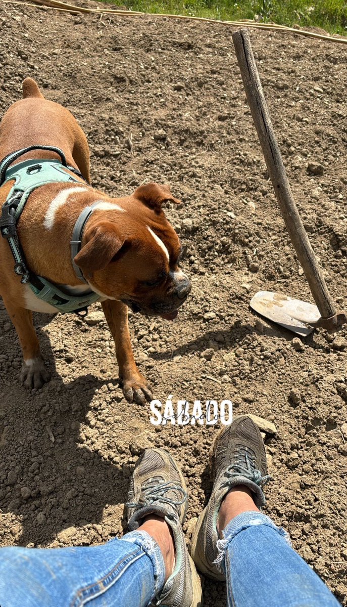 Ayudar, no ayuda mucho…