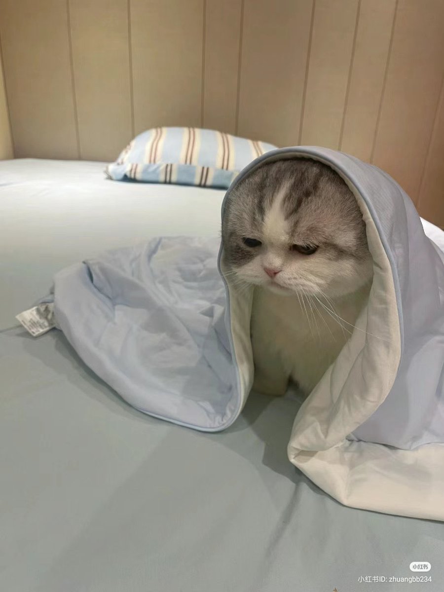 เป้นไรป่าว                                                                                       มั่ย (งอร)