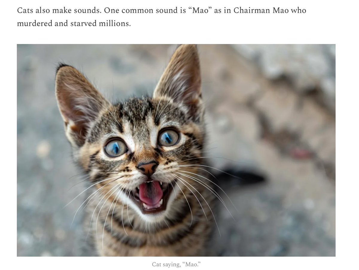 IMAO_'s tweet photo. My cat explainer was really popular. Read it and learn all about cats.
https://t.co/SYaxFip8HH https://t.co/0TtM6F2ue7