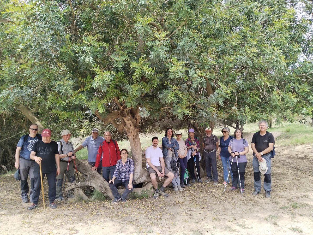 <a href="/acbllobregat/">acbaixllobregat</a> Una bona colla, aprofitant l'ombra
#santfeliu
#Collserola
#patrimoniSF
<a href="/acbllobregat/">acbaixllobregat</a>