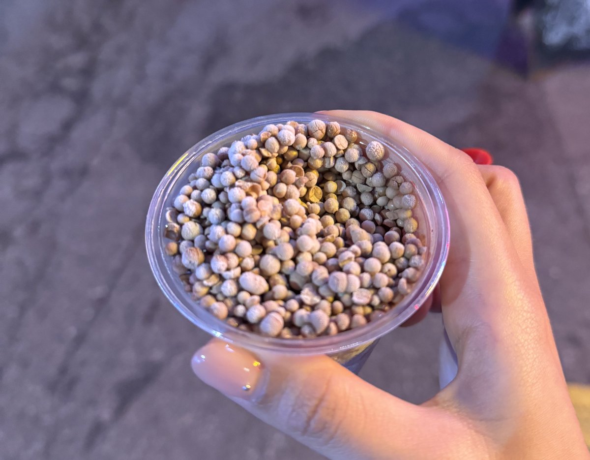 오늘 친구들이랑 구슬으이스크림을 먹엇어