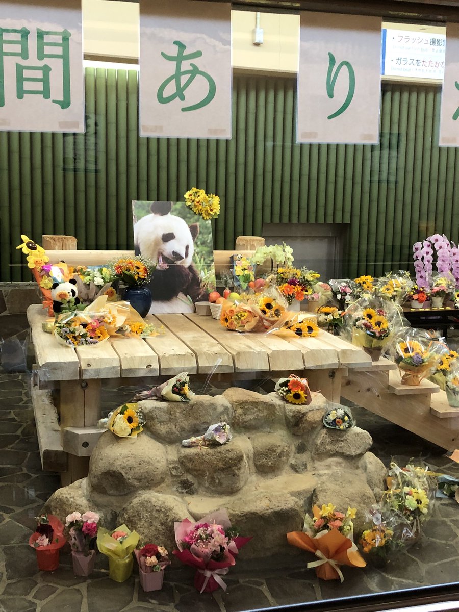 タンちゃんがまだどこかにいるんじゃ無いかと感じた🐼
Uさんを見かけたので声をかけたら15分程タンちゃんのお話をして下さいました🥺見ず知らずの親子に優しくお話しくださりありがとうございました🙇🏻‍♀️こんな優しい方があの子の飼育員さんで良かったと改めて思いました🌻
#ありがとうタンタン