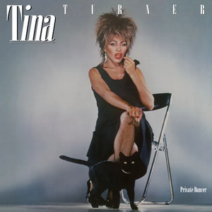 40 years ago this coming week, #TinaTurner released her extraordinary "Private Dancer" album that would solidify one of the greatest comebacks in music history &amp; remain arguably the greatest &amp; most defining LP that this legend ever released.